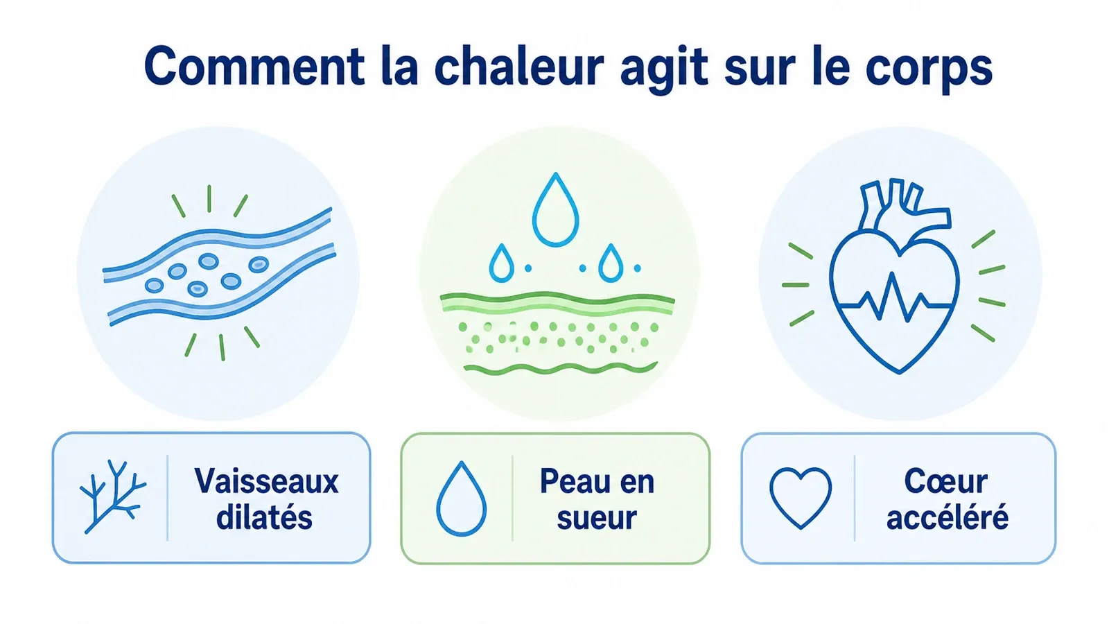 Résultats d'une étude sur 21 ans montrant la réduction du risque de crise cardiaque grâce à des séances régulières de sauna.